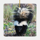 Skunk Black and White Keramisch Ornament (Achterkant)