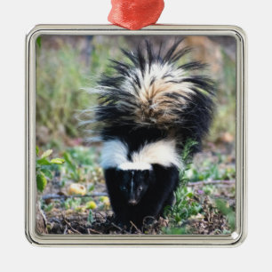 Skunk Black and White Metalen Ornament