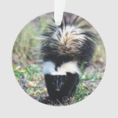 Skunk Black and White Ornament (voorkant)