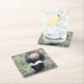 Skunk Black and White Vierkante Kartonnen Onderzetter (Insitu)