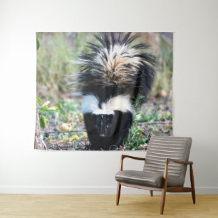 Skunk Black and White Wandkleed