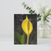 Skunk Cabbage Blossom - Briefkaart (Staand voorkant)