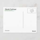 Skunk Cabbage Blossom - Briefkaart (Achterkant)