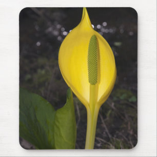 Skunk Cabbage Blossom - Mousepad Muismat