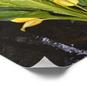 Skunk Cabbage - Kunstprint Poster (Hoek)