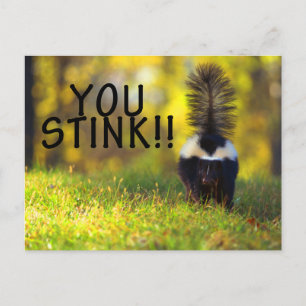 Skunk je stinkt briefkaart