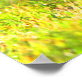 Skunk je stinkt poster (Hoek)