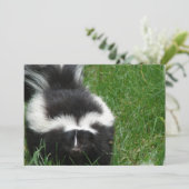 Skunk op uitnodiging (Staand voorkant)