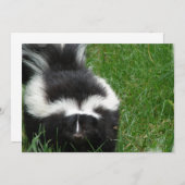 Skunk op uitnodiging (Voorkant / Achterkant)