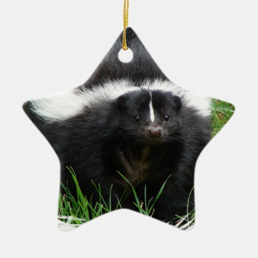 Skunk Photo Ornament (Voorkant)