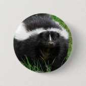 Skunk Photo Round Button (Voorkant)