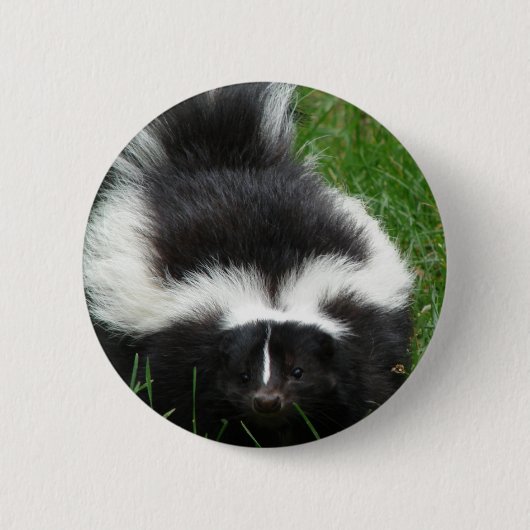 Skunk Round Pin Ronde Button 5,7 Cm (Voorkant)