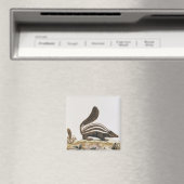 Skunk uit 'Histoire Naturelle' door Magneet (Insitu (Vaatwasser))