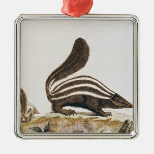 Skunk uit 'Histoire Naturelle' door Metalen Ornament