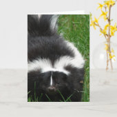 Skunk-Wenskaart Kaart (Gele Bloem)