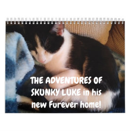 Skunky Luke's avonturen Kalender