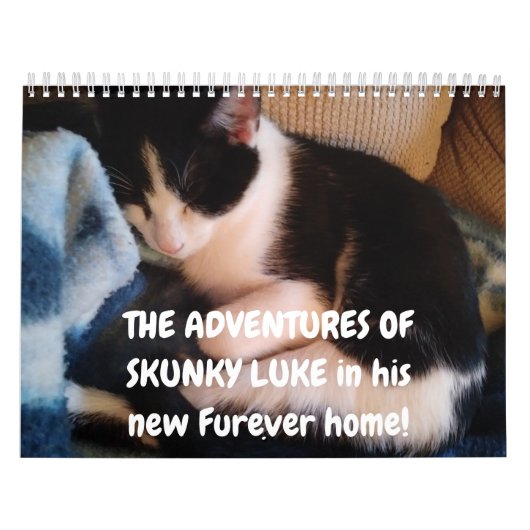 Skunky Luke's avonturen Kalender (Hoes)