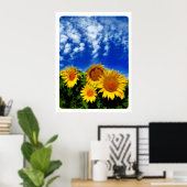 Sky and Bloom, poster (Bureau à domicile)
