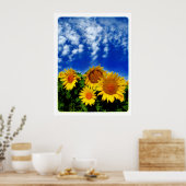 Sky and Bloom, poster (Cuisine)