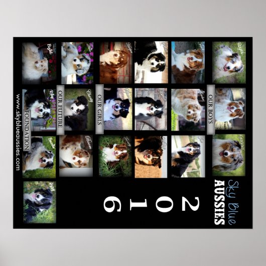 Sky Blue Aussies 2016 POSTER (Devant)