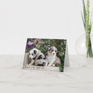 Sky Blue Aussies Notecard Puppies 1 Kaart