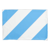 Sky Blue en White Diagonal Bread Stripe Kussensloop (Voorkant)