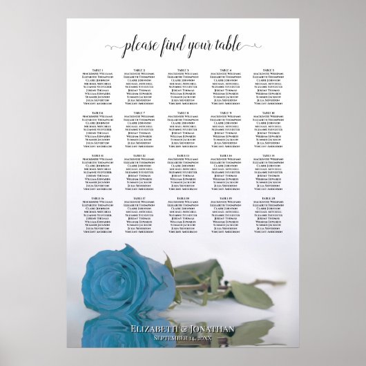 Sky Blue Roos 20 Table Wedding Seating Chart Poster (Voorkant)