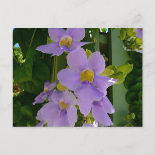 Sky Flower Vine Tropical Paars Floral Briefkaart