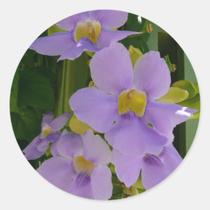 Sky Flower Vine Tropical Paars Floral Ronde Sticker
