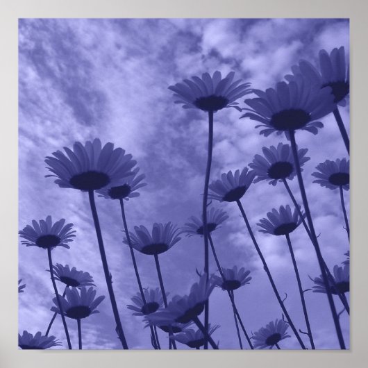 Sky Gazers Poster (Voorkant)