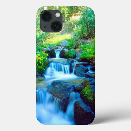 Sky Meadows in het Sierra Nevada gebergte Case-Mate iPhone Case (Achterkant)