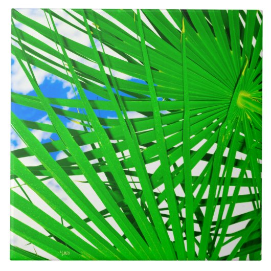 Sky Palm Ceramic Tile Tegeltje (Voorkant)