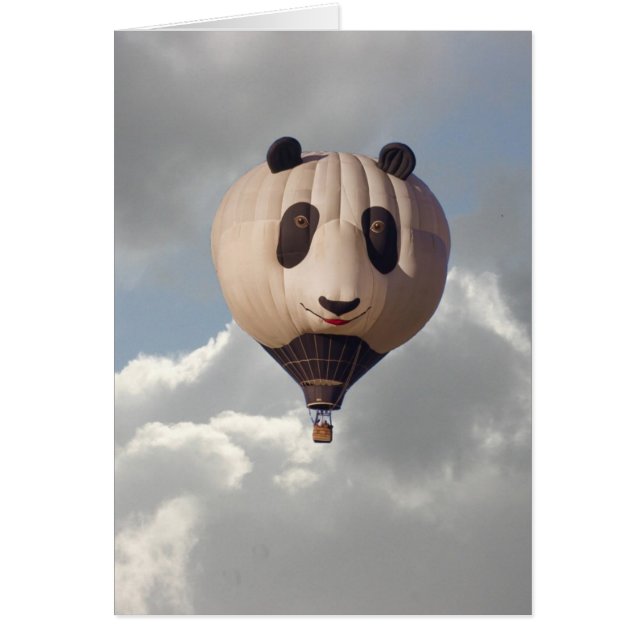 SKY PANDA (Voorkant)