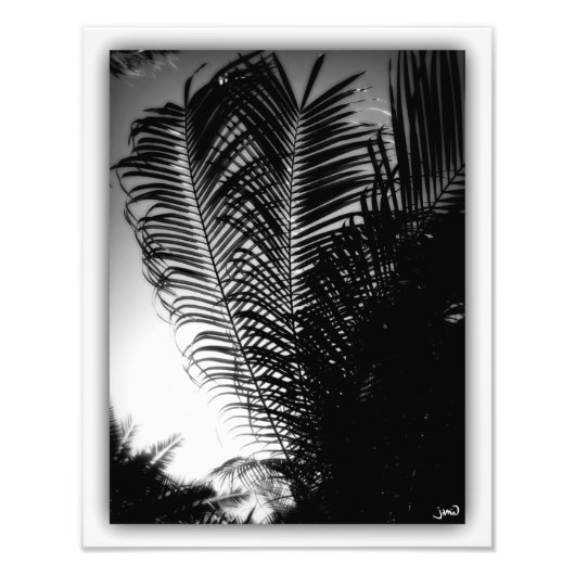 Sky Scrapers Foto Afdruk (Voorkant)