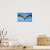 Sky Sovereign: Osprey in Flight Poster (Keuken)