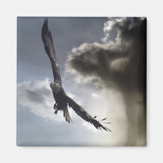 "Sky Warrior" Bald Eagle Gifts Magneet (Voorkant)