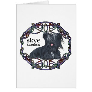 Skye Terrier en entrelacs celtiques