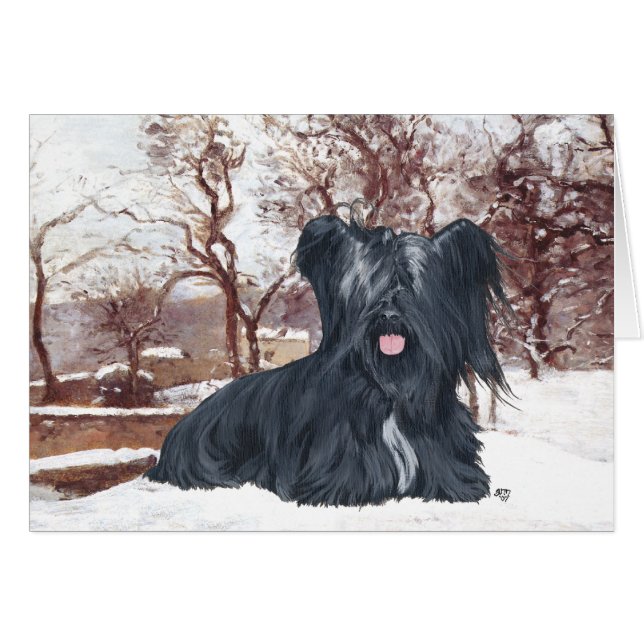 Skye Terrier en Hiver (Devant horizontal)
