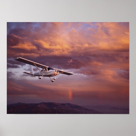 Skyfire Skycatcher Poster (Voorkant)