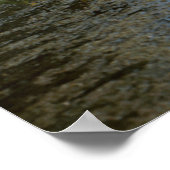 Skylab 1 Launch Poster (Hoek)