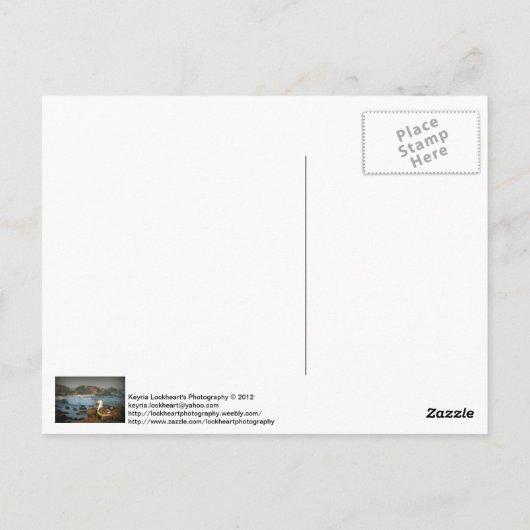 Skylark Seagull Briefkaart (Achterkant)