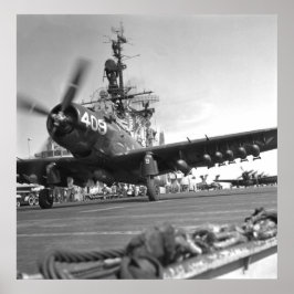 Skyraider Poster