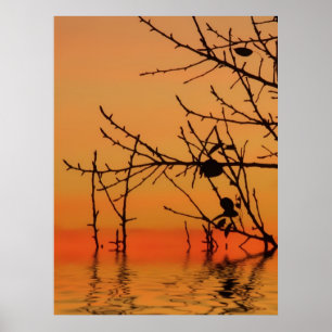 Skyscape Photoart Print