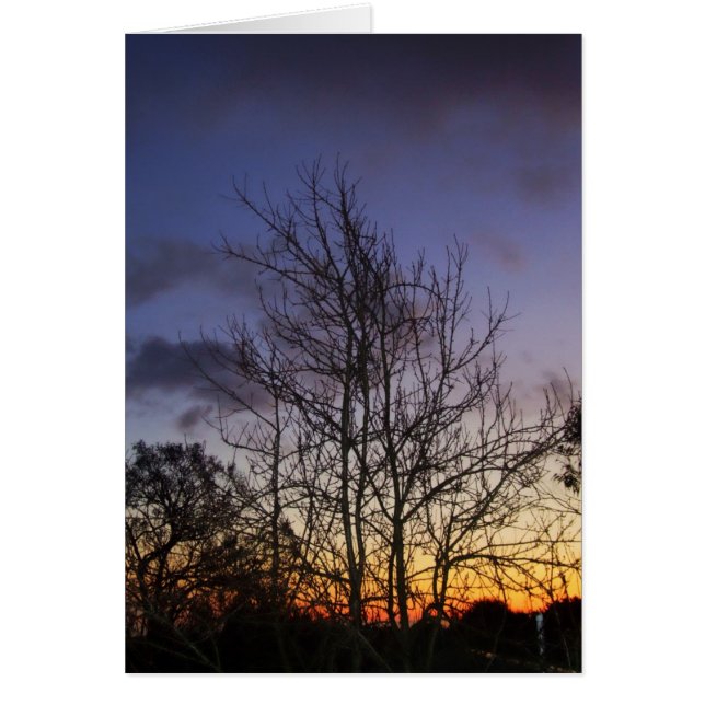 Skyscapes #001 Kaart (Voorkant)