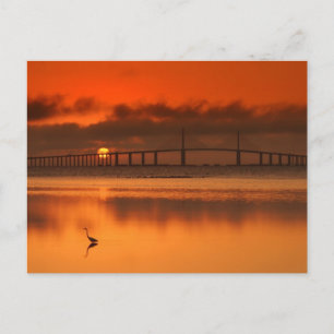Skyway Bridge Briefkaart
