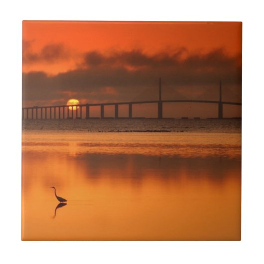 Skyway Bridge Tegeltje (Voorkant)