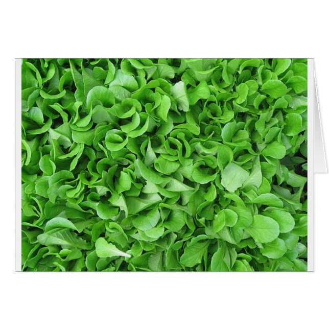 sla (Voorkant Horizontaal)