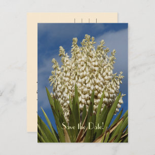 Sla de datum 80ste verjaardag Briefkaart