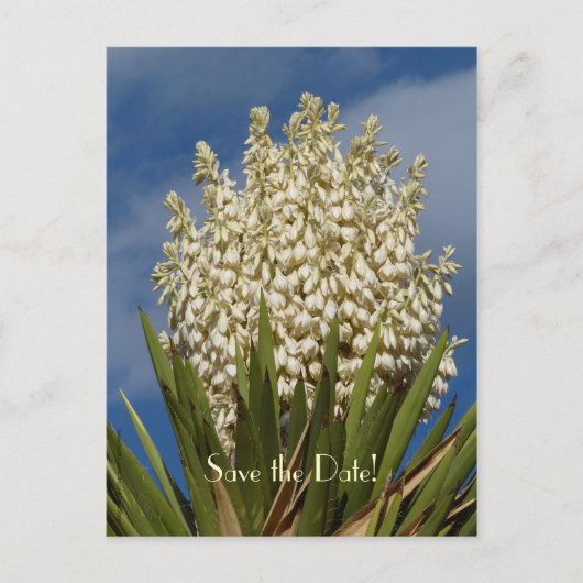 Sla de datum 80ste verjaardag Briefkaart (Voorkant)