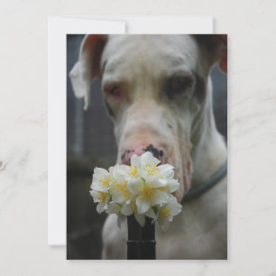 Sla de datum op: nieuw strooisel verwacht kaart